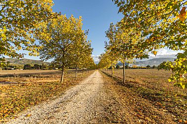 18062025174353_entradacamalafinca.jpg